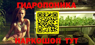 спиды Бийск