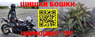 гидра Берёзовский