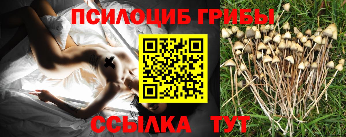 Галлюциногенные грибы ЛСД Асбест